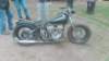 photo37_small.jpg