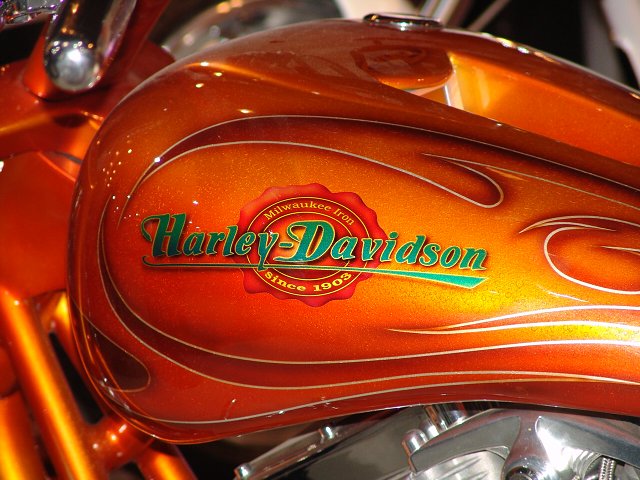 img00040.jpg