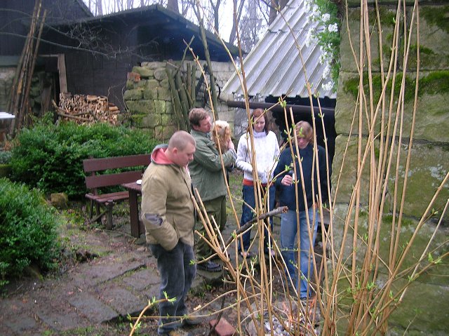 img00036.jpg