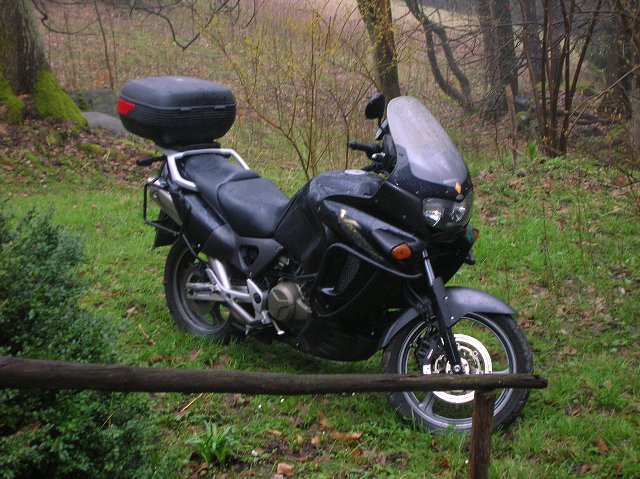 img00037.jpg