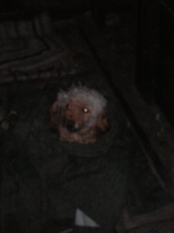 img00063.jpg