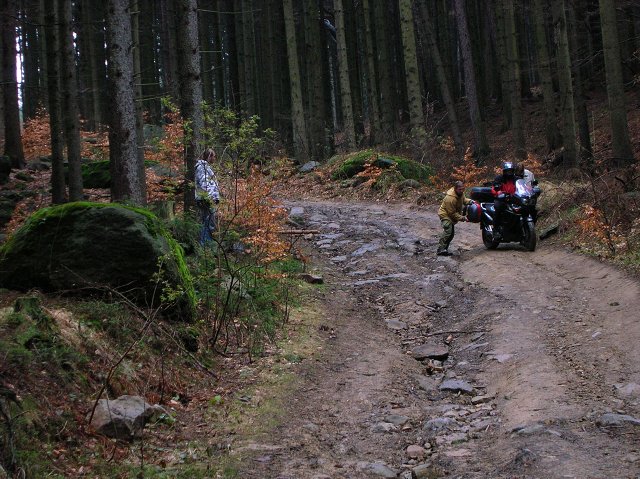 img00104.jpg