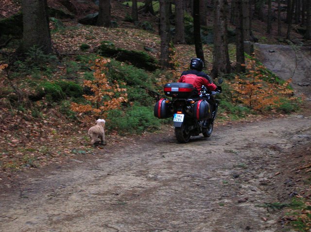 img00106.jpg