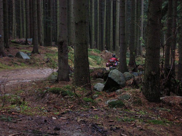 img00107.jpg