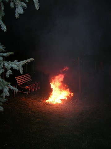 img00012.jpg
