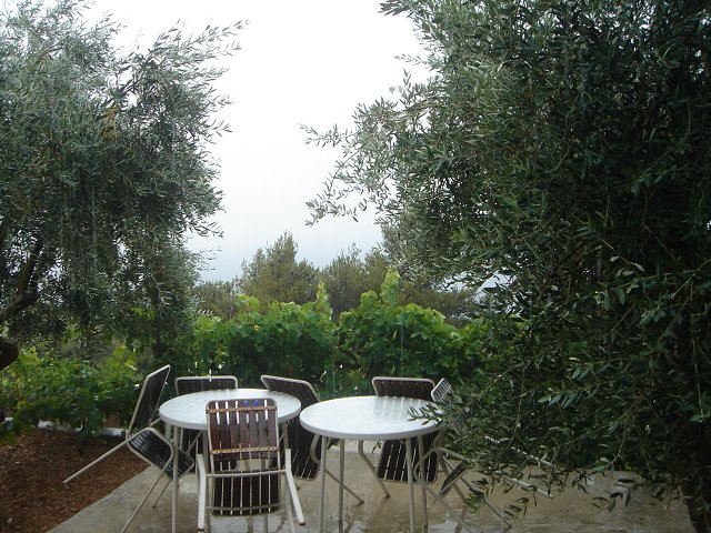 img00054.jpg