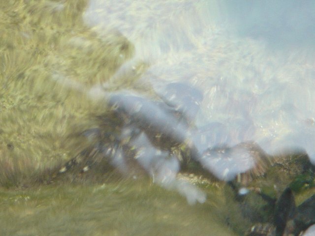 img00100.jpg