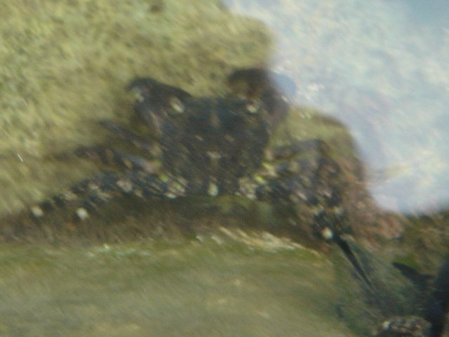 img00101.jpg
