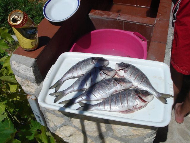 img00113.jpg