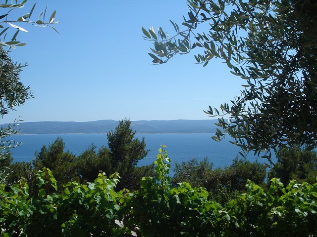 img00122.jpg