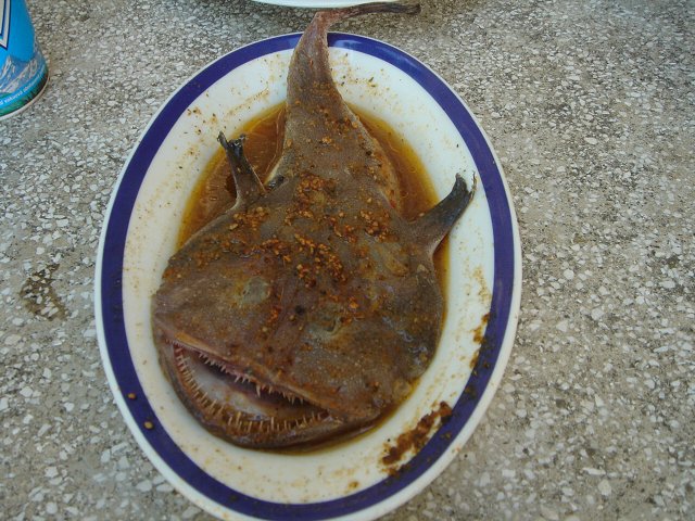 img00132.jpg