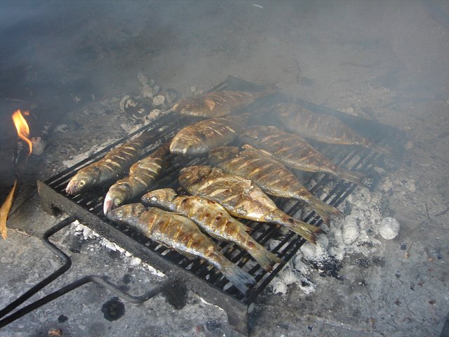 img00134.jpg