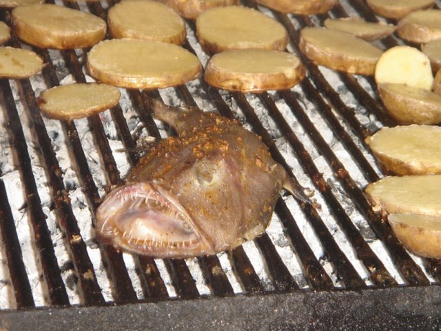 img00137.jpg