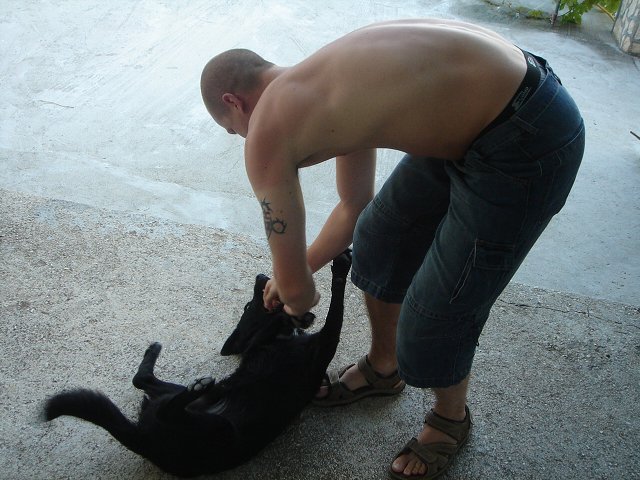 img00141.jpg