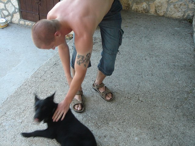img00142.jpg
