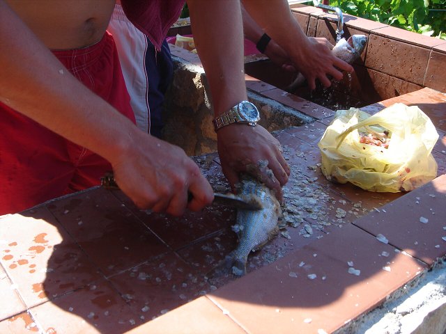 img00156.jpg