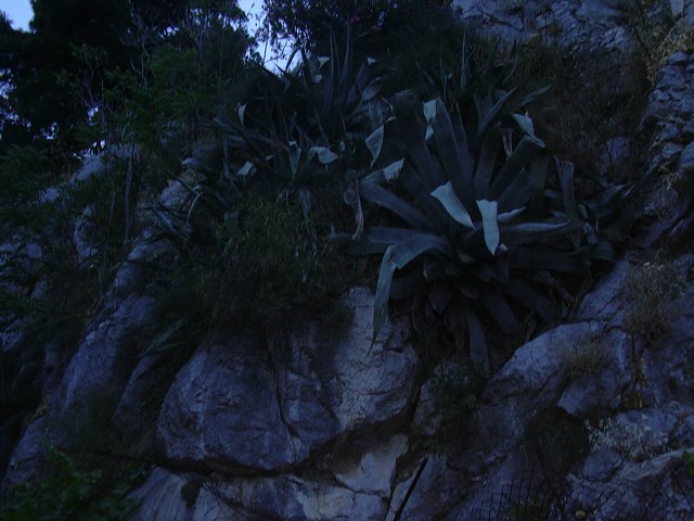 img00209.jpg