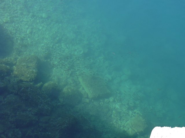 img00213.jpg