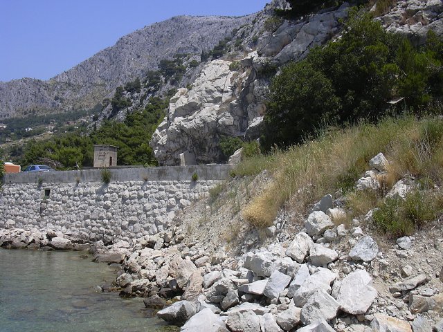 img00217.jpg