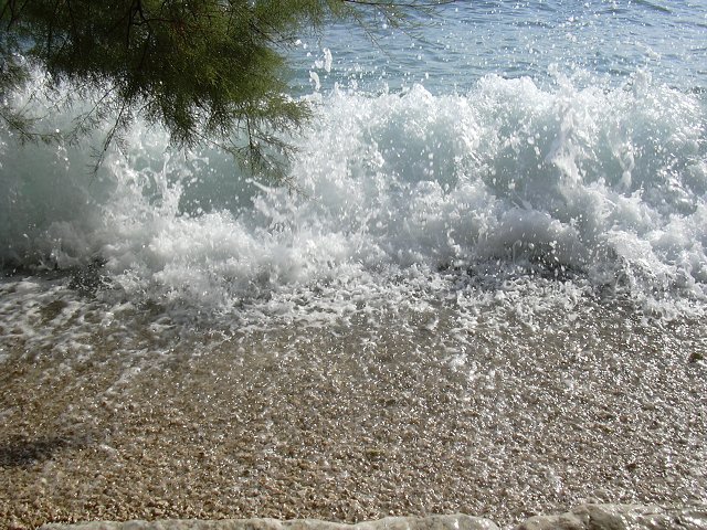 img00223.jpg
