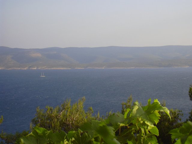 img00233.jpg
