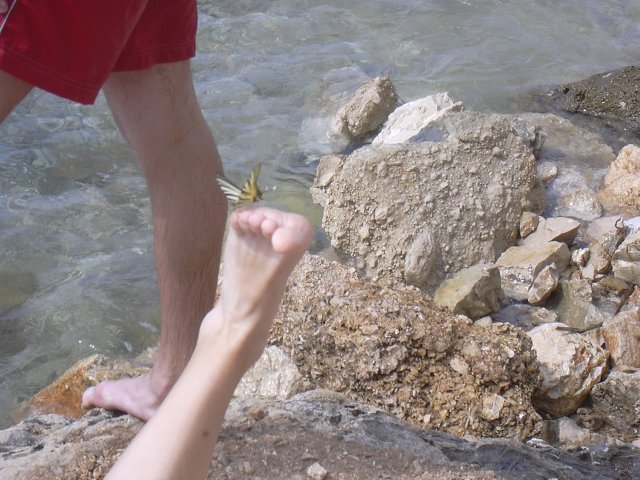 img00234.jpg