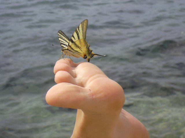 img00235.jpg