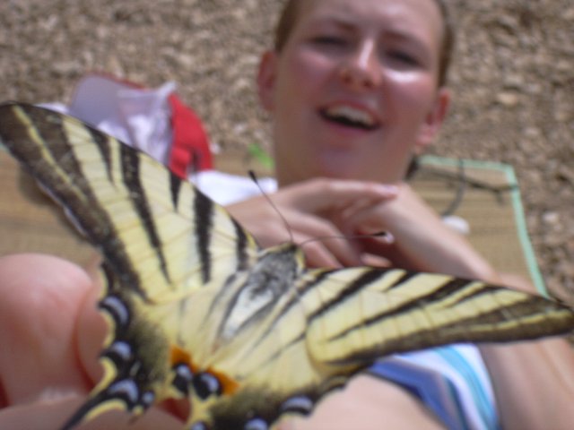 img00236.jpg