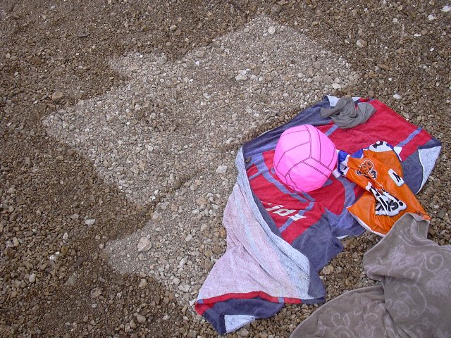 img00239.jpg