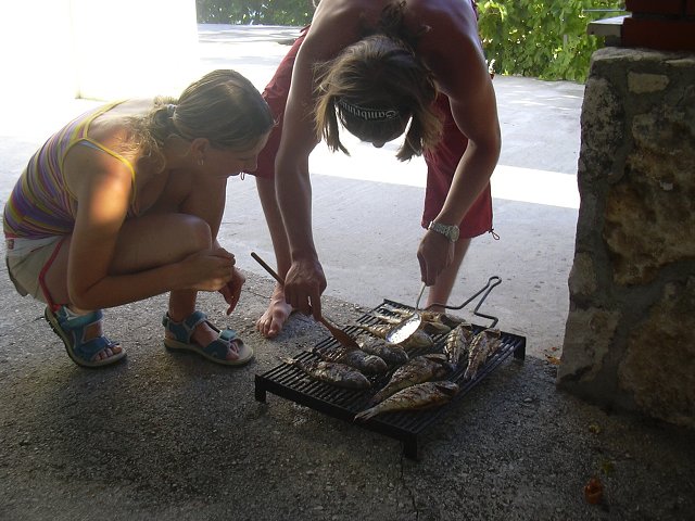 img00251.jpg