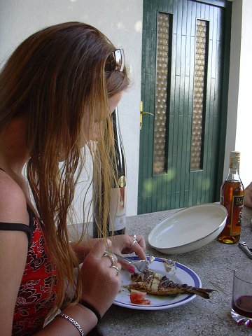 img00253.jpg