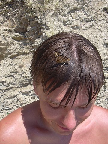img00258.jpg