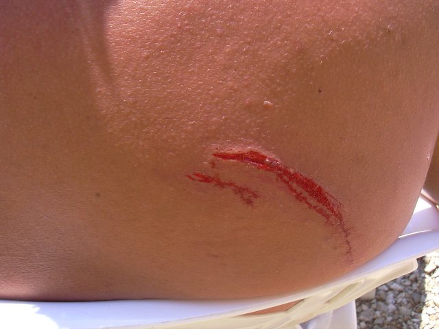 img00259.jpg