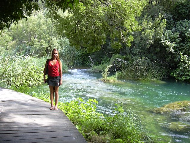 img00264.jpg