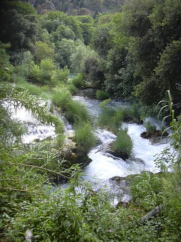 img00265.jpg