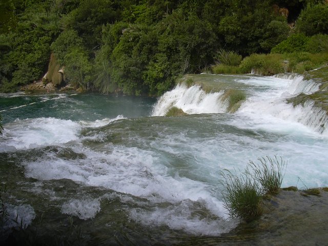 img00266.jpg