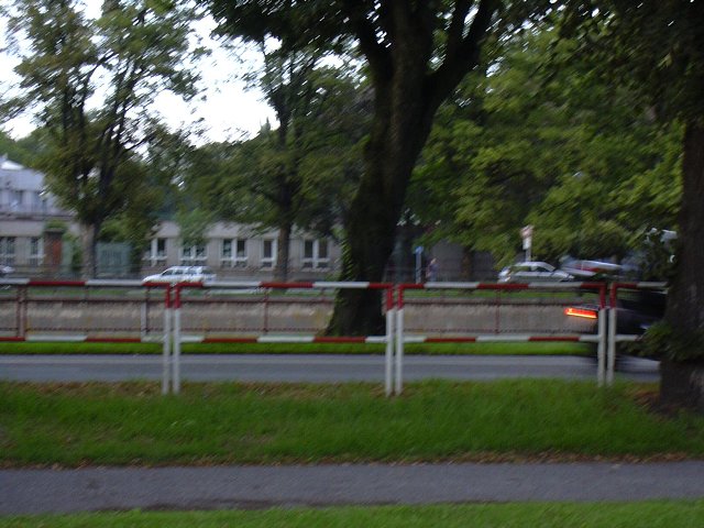 img00004.jpg