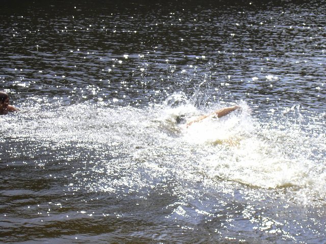 img00045.jpg
