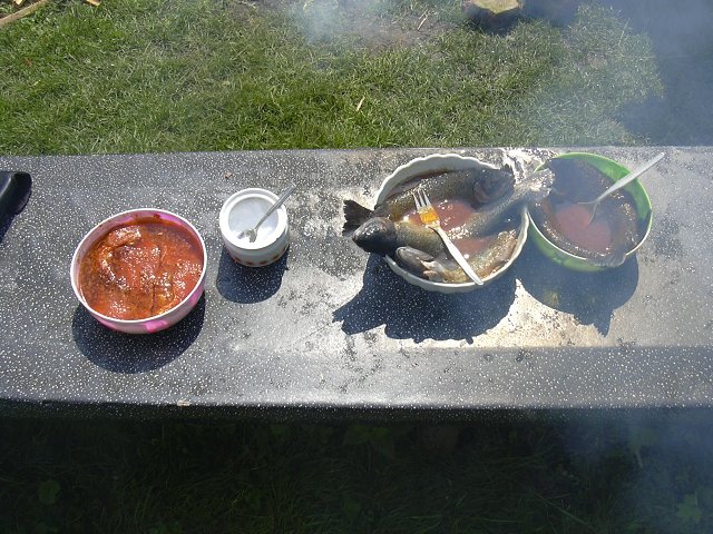 img00054.jpg