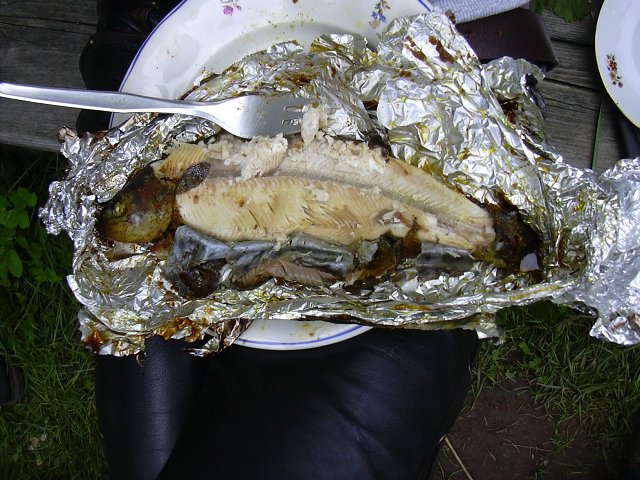 img00061.jpg