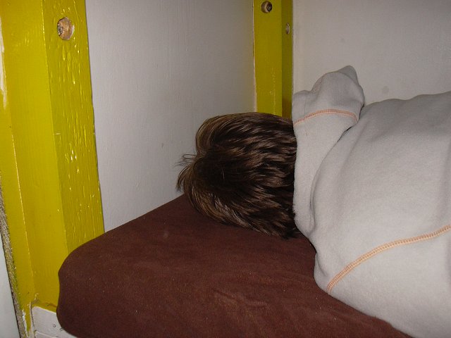img00091.jpg