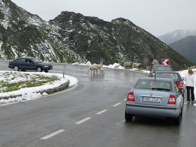 img00068.jpg