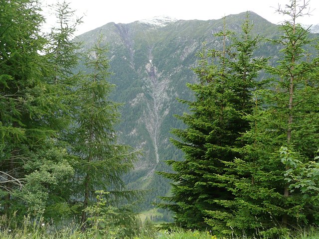 img00069.jpg