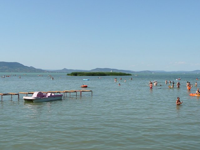 img00137.jpg
