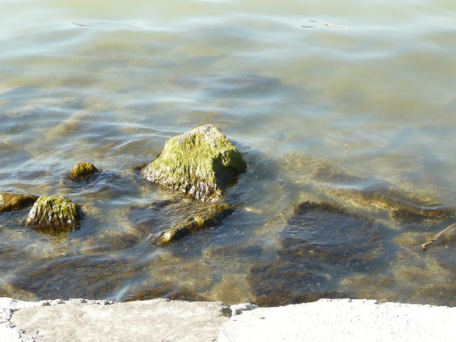 img00143.jpg
