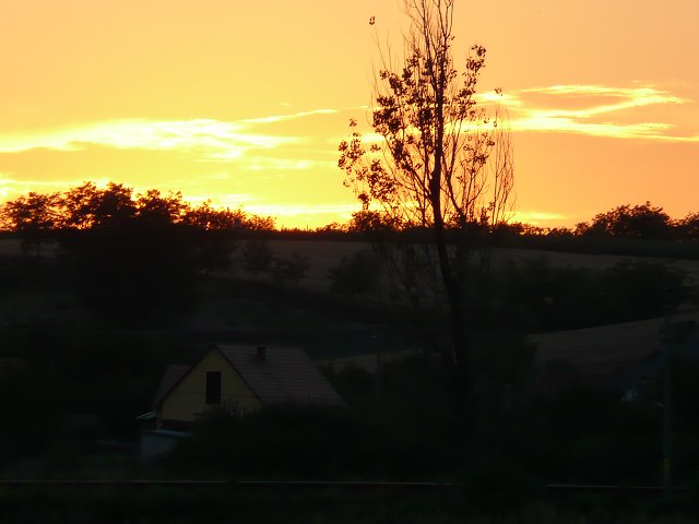 img00153.jpg