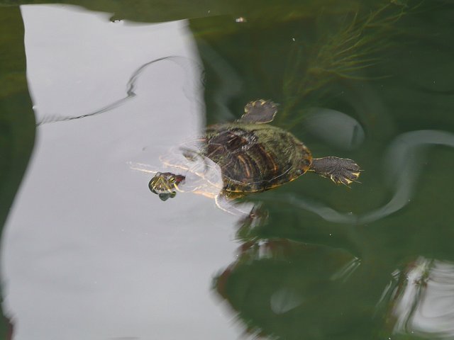 img00222.jpg
