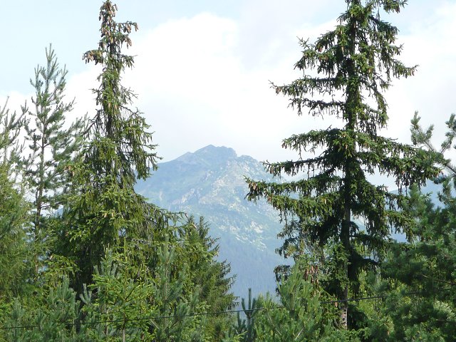 img00304.jpg