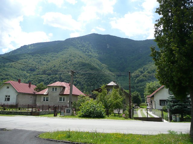 img00309.jpg
