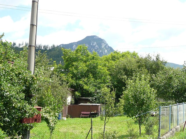 img00310.jpg